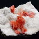 STILBITE RED ON WHITE MINERAL SPECIMEN # G-4