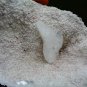 HEULANDITE ON WHITE MINERAL SPECIMEN # B-5