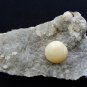 FLUORITE BALL ON AMETHYST MINERAL SPECIMEN # R-5