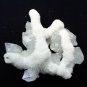 APOPHYLLITE CRYSTAL BUNCH ON WHITE STALACTITE MATRIX # R-5