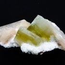 APOPHYLLITE GREEN SLIM CRYSTAL WITH STILBIT BLADE ON WHITE  MATRIX  # R-5