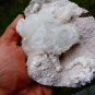 APOPHYLLITE WITH STILBITE ON WHITE MINERAL SPECIMEN  !!! G-2