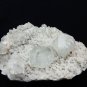APOPHYLLITE CRYSTAL ON CHALCEDONY MATRIX #G-4