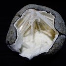 SCOLECITE IN WHITE GEODE E2#18