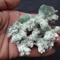 MARSHY APOPHYLLITE ON MINERALS SPECIMEN B# -2