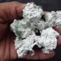 MARSHY APOPHYLLITE ON MINERALS SPECIMEN B# -2