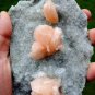 APOPHYLLITE STILBITE CHALCEDONY ON MATRIX  B# -6