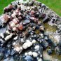 APOPHYLLITE MARSHY ON MINERAL SPECIMEN !!! G-1