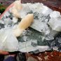 APOPHYLLITE  STILBITE  ON BLACK CHALCEDONY MINERAL SPECIMEN #B-1