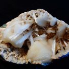 STILBITE WITH SCOLECITE IN MICRO HEULANDITE GEODE  !! E-1-#32