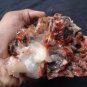 MARSHY RED APOPHYLLITE ON MINERALS SPECIMEN B# -2