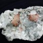 APOPHYLLITE WITH RED STILBITE ON MINERAL SPECIMEN # G-4
