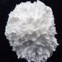 APOPHYLLITE MORDENITE MINERAL SPECIMEN # G-4