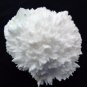 APOPHYLLITE MORDENITE MINERAL SPECIMEN # G-4