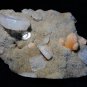 SHINY APOPHYLLITE CRYSTAL WITH  STILBITE ON WHITE CHALCEDONY 4.2 KG!!T-5-45