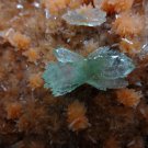 APOPHYLLITE GREEN GEMMY CRYSTAL WITH STILBITE ON HEULANDITE STALACTITE  D-1