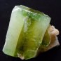 APOPHYLLITE GREEN CRYSTAL WITH STILBITE BLADE  MATRIX  # R-5