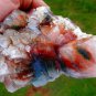 APOPHYLLITE CRYSTALS IN RED COLOR R-1