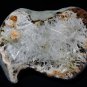 SCOLECITE ON SPECIMEN E2#23