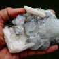 APOPHYLLITE STILBITE  ON MINERALS SPECIMEN  B# -6