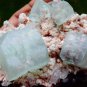 APOPHYLLITE CRYSTALS ON HEULANDITE MATRIX R-1