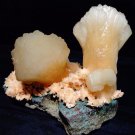 COLLECTIBLE SPECIMEN TWIN STILBITE CRYSTAL ON HEULANDITE MATRIX S3#9