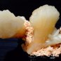 COLLECTIBLE SPECIMEN TWIN STILBITE CRYSTAL ON HEULANDITE MATRIX S3#9