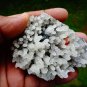STILBITE RED CHALCEDONY ON MINERALS SPECIMEN R-2