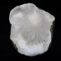 SCOLECITE ON QUARTZ MATRIX E2#21