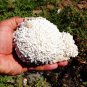 MORDENITE CRYSTAL ON MATRIX RFM EHS !!! B-1