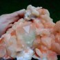 APOPHYLLITE WITH RED STILBITE MINERAL SPECIMEN # B-5