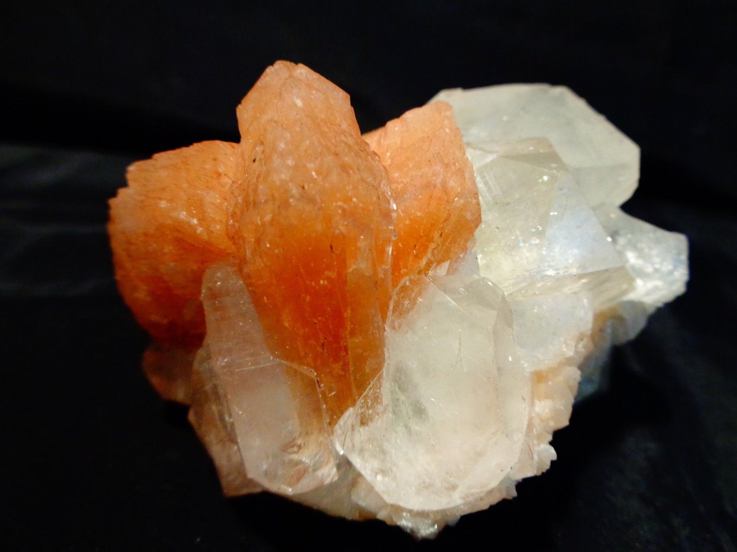 SLIM APOPHYLLITE CRYSTAL WITH ORANGE STILBITE BLADE  !!!S-4