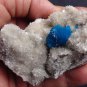 CAVANSITE FLOWER ON HEULANDITE MATRIX  !! B-2