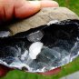 CHALCEDONY STELLERITE ON MINERALS SPECIMEN !!! G-3