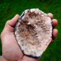 HEULANDITE SEMI GEODE   B# -6