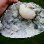 STILBITE WITH COTED CALCITE MINERAL SPECIMEN #R-2