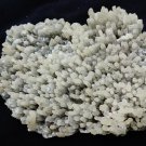 CHALCEDONY MINERAL MATRIX # G-4