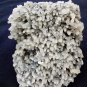 CHALCEDONY MINERAL MATRIX # G-4