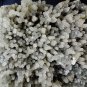 CHALCEDONY MINERAL MATRIX # G-4