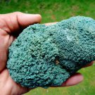 CELADONITE MINERAL SPECIMEN #L-2