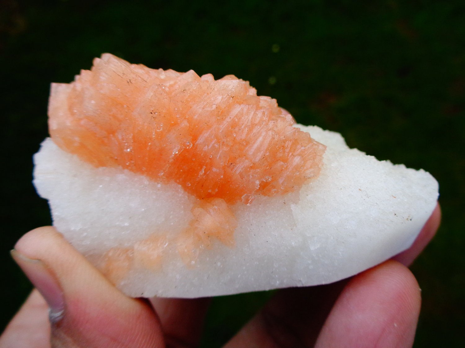 STILBITE BLADE ON WHITE CHALCEDEONY !! L-4