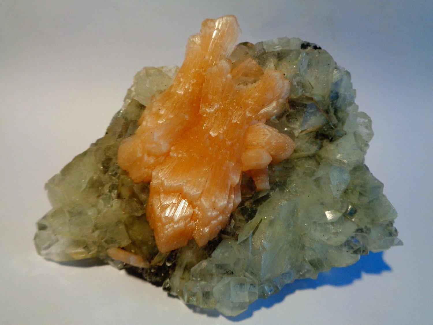 ORANGE STILBITE WITH APOPHYLLITE CRYSTAL BUNCH SPECIMEN E-#3-44
