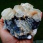 APOPHYLLITE CRYSTAL WITH STILBITE BLADE ON CHALCEDONY B# -6