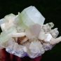 APOPHYLLITE WITH STILBITE ON WHITE MINERAL SPECIMEN # A-3