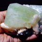 HUGE TWIN APOPHYLLITE CRYSTAL WITH STILBITE ON BASALT T1#2248