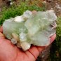 APOPHYLLITE WITH SCOLECITE+STILBITE SPECIMEN !!! B-1