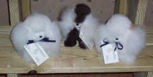 Alpaca Fur Dog