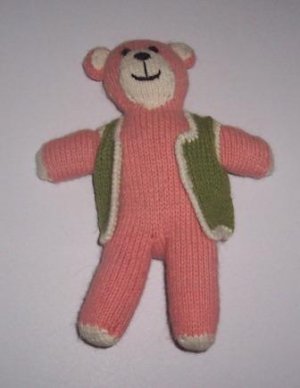 bear with vest