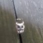 R017 Antique Silver Owl Wrap Ring Kawaii Woodland Animals Novelty ***30