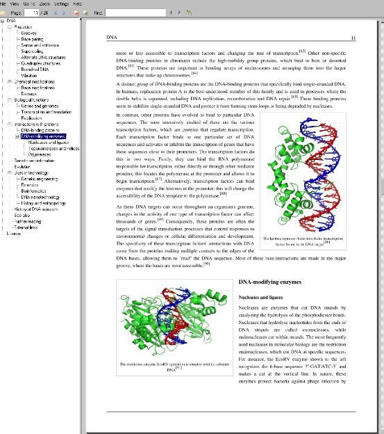 Professional ebook Reader PDF EPUB MOBI CHM XPS DjVu CBZ CBR PC Windows 10